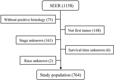 Prognostic Nomograms for Predicting Overall Survival and Cancer‐Specific Survival of Patients With Malignant Pheochromocytoma and Paraganglioma